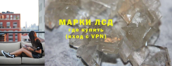 индика Абаза