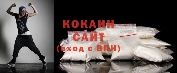 индика Абаза
