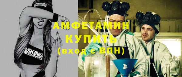 индика Абаза