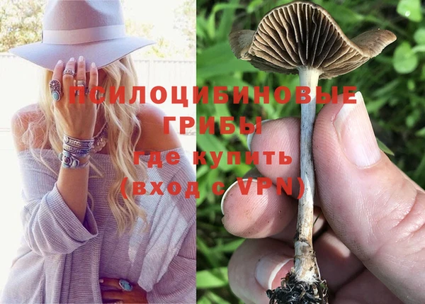 индика Абаза