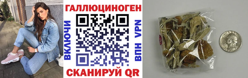 Галлюциногенные грибы прущие грибы  Сольвычегодск 